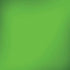 Green Solid iPhone X Pro Case
