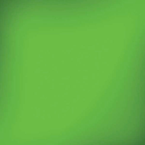 Green Solid iPhone X Skin
