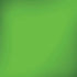 Green Solid iPhone X Skin