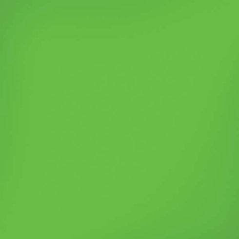 Green Solid iPhone XR Skin