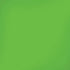 Green Solid iPhone XR Skin