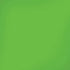 Green Solid iPhone XS Skin