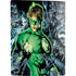 DC Comics Green Lantern Blackest Night, Vol 1 Cover by Ivan Reis PS5 Digital Edition Bundle Skin