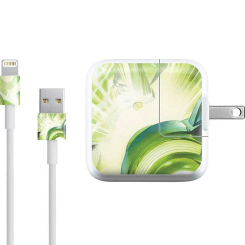 DC Comics Green Lantern Portrait Art By Alex Ross iPad Charger (10W USB) Skin