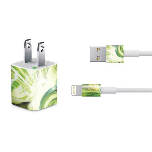 DC Comics Green Lantern Portrait Art By Alex Ross iPhone Charger (5W USB) Skin