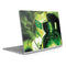 DC Comics Green Lantern Portrait Art By Alex Ross Surface Book 2 13.5in Skin