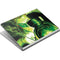 DC Comics Green Lantern Portrait Art By Alex Ross Surface Book Skin
