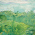 Vincent Van Gogh Green Wheat Fields iPhone XS Pro Case