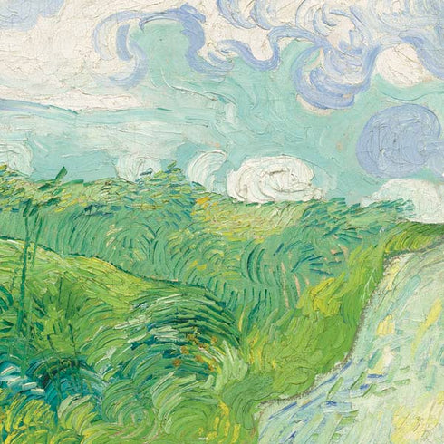 Vincent Van Gogh Green Wheat Fields PS4 Pro Bundle Skin