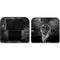 Alchemy Grimalkins Glass Nintendo 2DS Skin