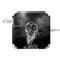 Alchemy Grimalkins Glass 85W Power Adapter (15 and 17 inch MacBook Pro Charger) Skin