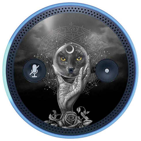 Alchemy Grimalkins Glass Amazon Echo Skin
