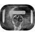 Alchemy Grimalkins Glass Apple AirPods Pro Skin