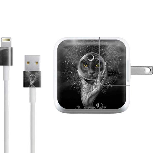 Alchemy Grimalkins Glass iPad Charger (10W USB) Skin
