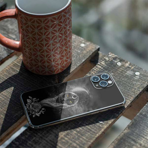 Alchemy Grimalkins Glass iPhone 11 Pro Skin