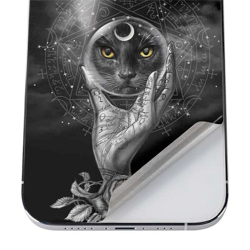 Alchemy Grimalkins Glass iPhone 12 Pro Max Skin