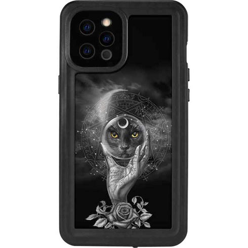 Alchemy Grimalkins Glass iPhone 12 Pro Max Waterproof Case