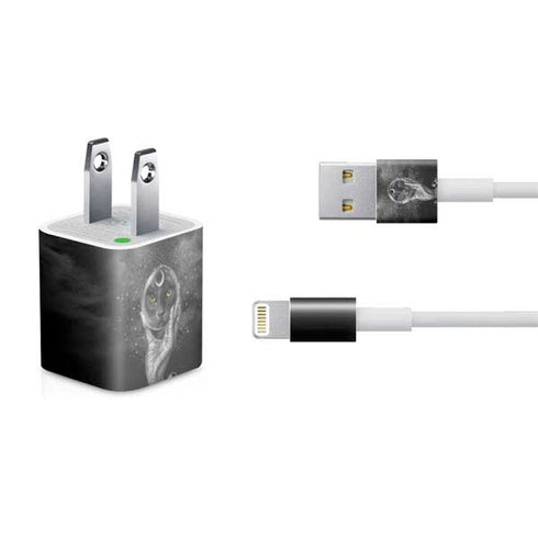 Alchemy Grimalkins Glass iPhone Charger (5W USB) Skin