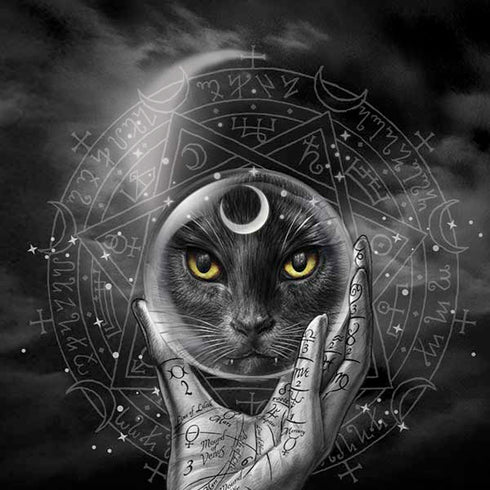 Alchemy Grimalkins Glass iPhone XS Max Skin