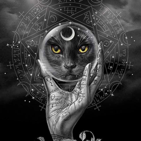 Alchemy Grimalkins Glass Moto E5 Play Skin