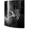 Alchemy Grimalkins Glass Playstation 3 & PS3 Skin