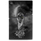 Alchemy Grimalkins Glass PS5 Slim Disk Bundle Skin