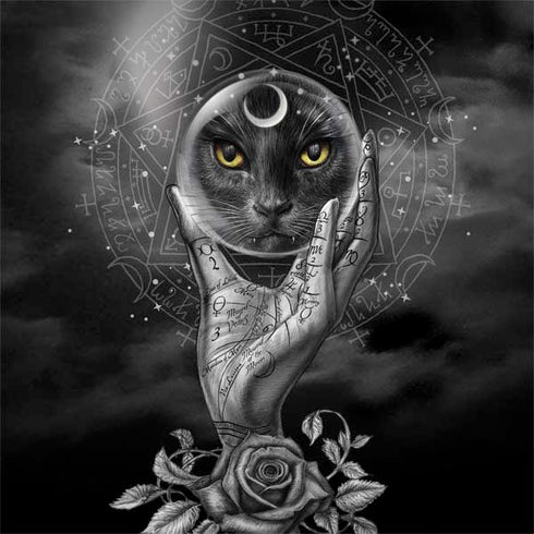 Alchemy Grimalkins Glass Surface Book 2 13.5in Skin