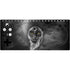 Alchemy Grimalkins Glass Xbox Adaptive Controller Skin