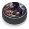 Alchemy Grimelkins Ghost Amazon Echo Dot Skin