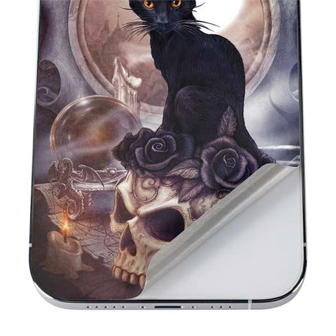 Alchemy Grimelkins Ghost iPhone 12 Pro Max Skin