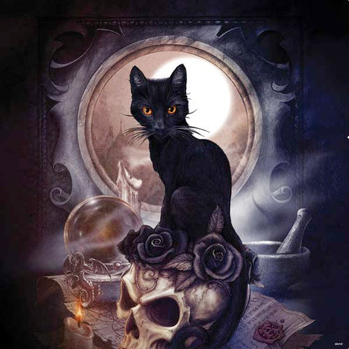 Alchemy Grimelkins Ghost PS4 Console and Controller Bundle Skin