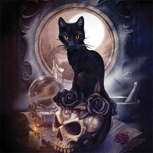 Alchemy Grimelkins Ghost Surface Book 2 13.5in Skin