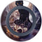 Alchemy Grimelkins Ghost Wireless Charger Skin