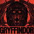 Wizarding Worlds Harry Potter Gryffindor Illustration Legion Y720 Skin