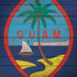Guam Flag Dark Wood Galaxy Note 8 Skin