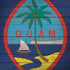 Guam Flag Dark Wood iPhone X Pro Case