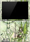Amy Brown Guardian Fairy and Stag Surface Pro (2017) Skin