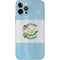 Guatemala Flag Distressed iPhone 12 Pro Skin
