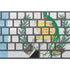 Guatemala Flag Distressed Magic Keyboard with Numeric Keypad Skin