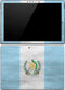 Guatemala Flag Distressed Surface Pro 4 Skin