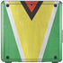 Guyana Flag Distressed Cooler Master MasterBox Q300L Mini Tower Skin