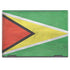 Guyana Flag Distressed HP Envy Skin