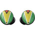 Guyana Flag Distressed Galaxy Buds Skin