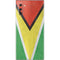 Guyana Flag Distressed Galaxy Note 10 Skin