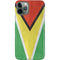 Guyana Flag Distressed iPhone 11 Pro Lite Case