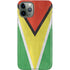 Guyana Flag Distressed iPhone 11 Pro Lite Case