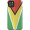 Guyana Flag Distressed iPhone 11 Pro Max Impact Case