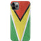 Guyana Flag Distressed iPhone 11 Pro Max Lite Case
