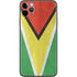 Guyana Flag Distressed iPhone 11 Pro Max Skin