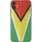 Guyana Flag Distressed iPhone 11 Skin